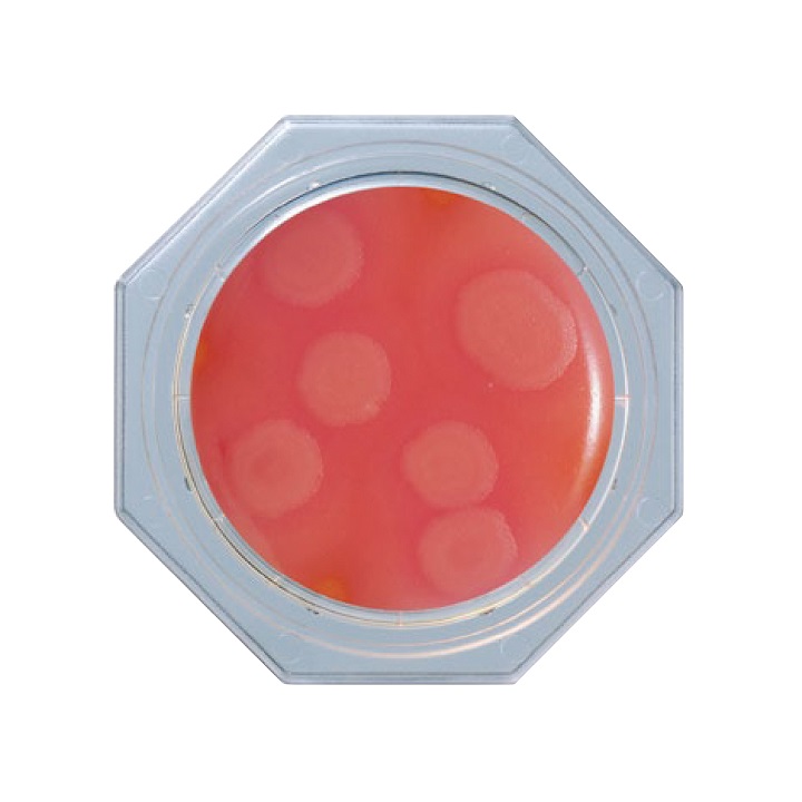 フードスタンプ® セレウス寒天（セレウス菌用） | 臨床診断薬分野 医療